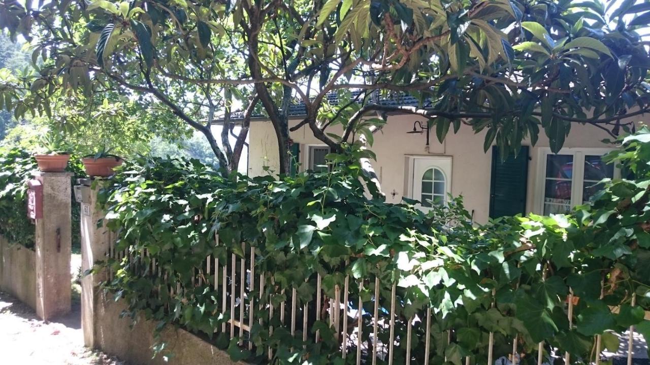 Villa Panoramica Gazzi Arco Exterior foto